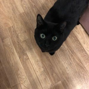 Meet your Posher, Ming